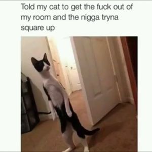 Meet your Posher, Enoc